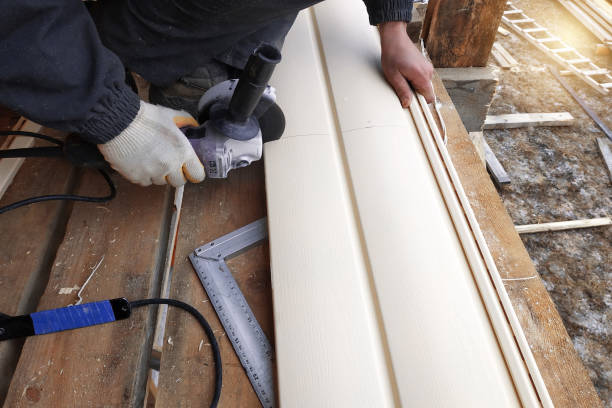 Best Brick Veneer Siding  in Panther Valley, NJ